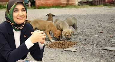 Afyon Halkı Devlet Ana'yı Mama Lobisine Yedirtmedi