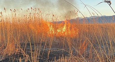 Eber Gölü'nü yakmaya çalışırken jandarmaya yakalandı