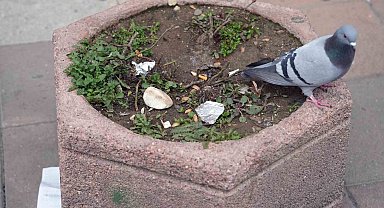 Çevreyi kirletenlere 2 bin 953 TL idari para cezası uygulayacak