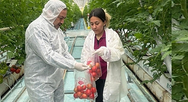  Afyonkarahisar’da Hasat Öncesi Pestisit Denetimleri devam ediyor