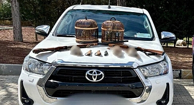 KAÇAK AVCILAR JANDARMAYA YAKALANDI