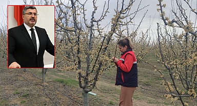 AFYON’DA SOĞUK HAVA TARIMA BÜYÜK ZARAR VERDİ!