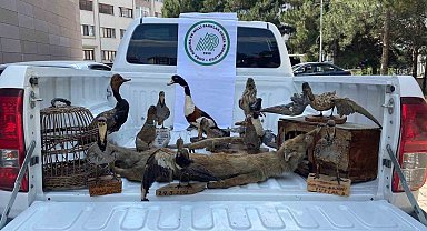 Afyonkarahisar'da 14 tahnit hayvan ve 2 kafes ele geçirildi