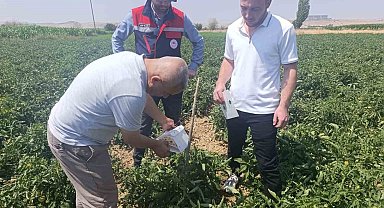 Afyonkarahisar'da bitki sağlığı faaliyetleri devam ediyor