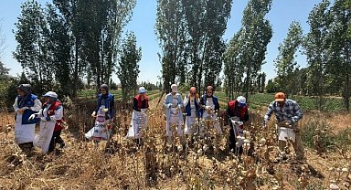 Afyonkarahisar'da Gençlerin Hasat ve Sanat Etkinliğiyle Dolu Bir Gün