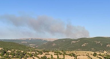Afyonkarahisar'da orman yangını