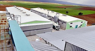 Afyonkarahisar'daki yumurta firmasına, FETÖ soruşturması kapsamında kayyum atandı