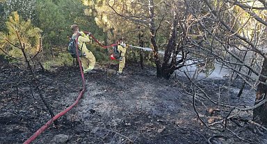 Kütahyalı öğrenciler yangınlarla mücadelede görev başında