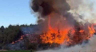 Medetli köyünde orman yangını başladı