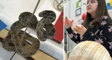 Karaman'da 12 Yaşındaki Ortaokul Öğrencisi, 5 Bin Fosille Kendi Müzesini Kurdu