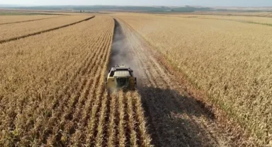 Tarım Ürünleri Üretici Fiyat Endeksi Eylül'de Şok Artış Gösterdi